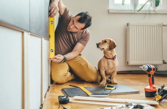 dog and man on floor remodeling